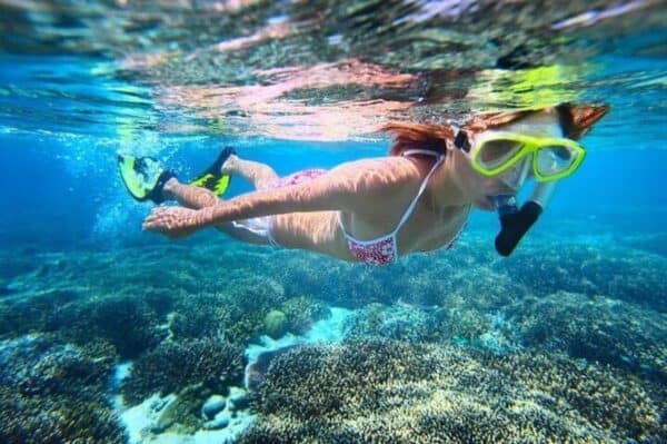 De Ultieme Eco Tour: Een Dag Rondom Sint Maarten (Sint Maarten) - Afbeelding 2