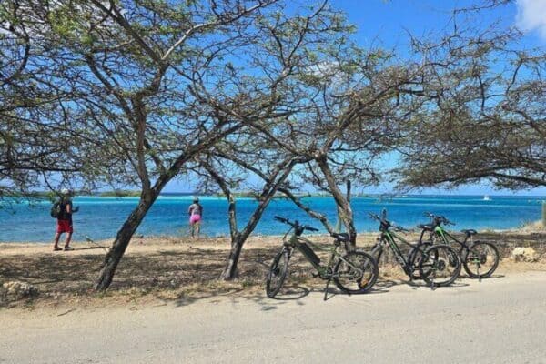 Semi-Private Fietstocht naar Cultureel Erfgoed van San Nicolas (Aruba) - Afbeelding 2