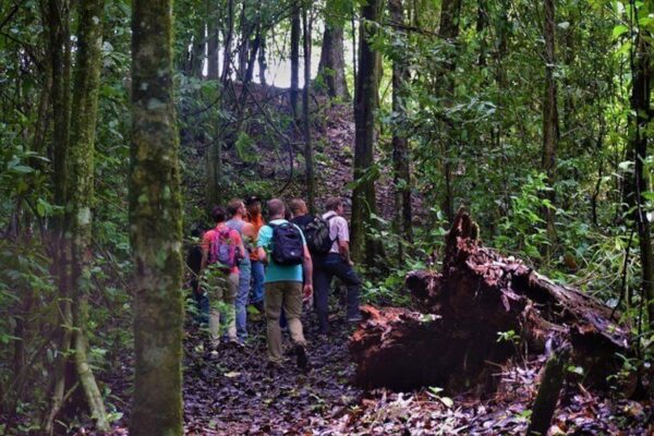 Excursión de día completo al Parque Natural de Brownsberg (Surinam) - Imagen 3