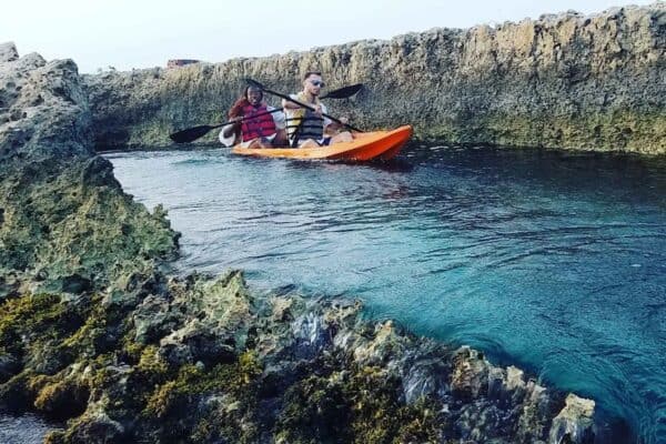 Excursión en kayak por el bosque de manglares de fondo translúcido (Aruba) - Imagen 3