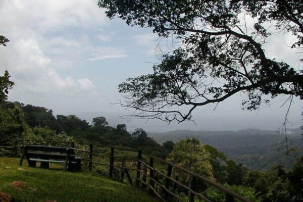 Excursión de día completo al Parque Natural de Brownsberg (Surinam) - Imagen 2