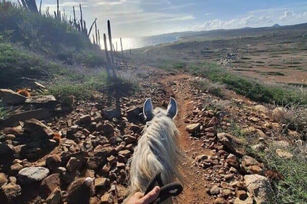Cabalgata a Laguna Escondida (Aruba) - Imagen 3
