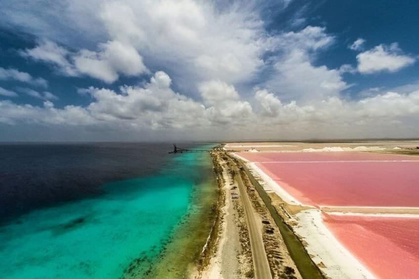 Noord en Zuid Tour met Gids (Bonaire)
