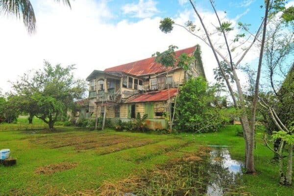 Full Day Guide Tour of the Plantation by Car (Suriname) - Image 5