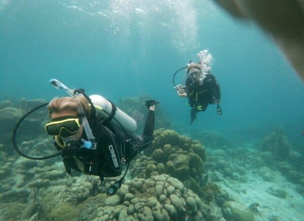 Mangel Halto Riff & Hole in the Wall Duikavontuur (Aruba)