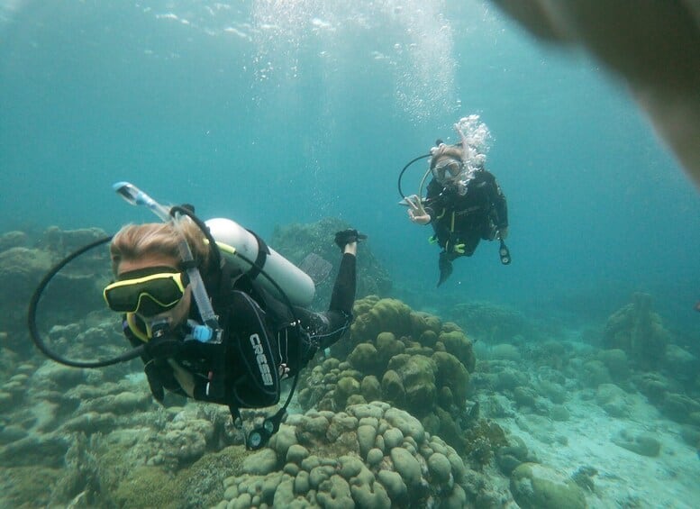 Mangel Halto Riff & Hole in the Wall Duikavontuur (Aruba)