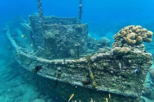 Snorkelboottocht: Verzonken schip, oud fort & baai (Curaçao) - Afbeelding 4