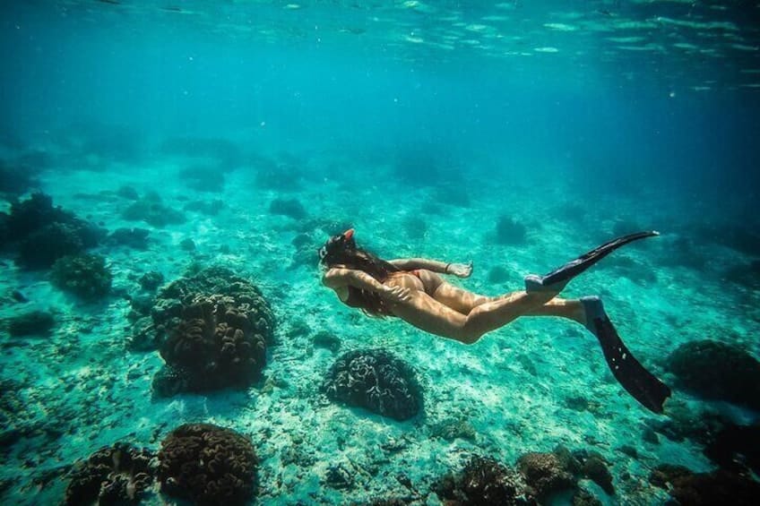 Snorkelboottocht: Verzonken schip