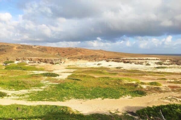 Sunrise Hike with Private Guide to the Natural Pool (Aruba) - Image 3
