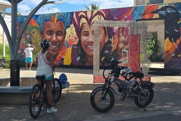 Private Street Art and Coastal Splendor: E-Bike Adventure in San Nicolas (Aruba) - Image 2