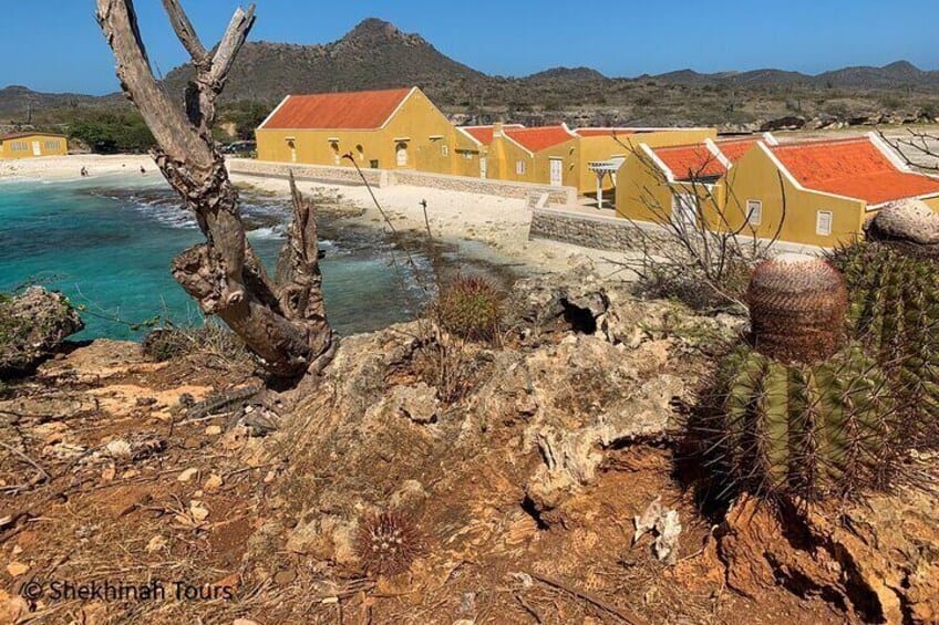 Washington Park Tour met Lokale Gids (Bonaire)