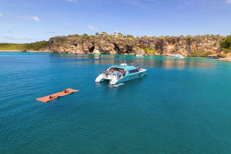 Swim with Turtles on St. Martin/Maarten! (Saint Martin)
