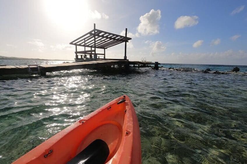 Kajak Tocht bij Mangel Halto en Spaanse Lagune (Aruba)