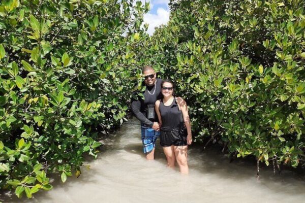 Glass Bottom Kayak Tour of the Mangrove Forest (Aruba) - Image 3