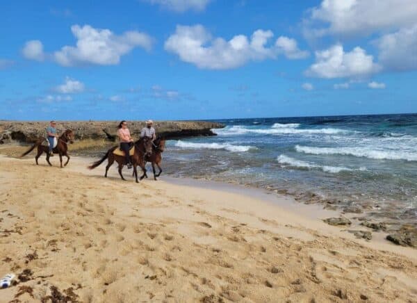 Excursión a caballo a la playa de Wariruri (Aruba) - Imagen 5