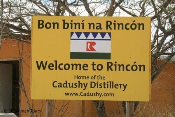 Visit Rincon with a Local Guide (Bonaire) - Image 2