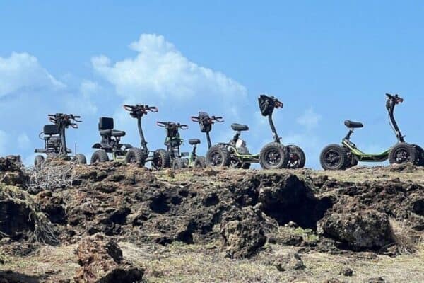 Aventura definitiva de la costa norte (Aruba) - Imagen 3
