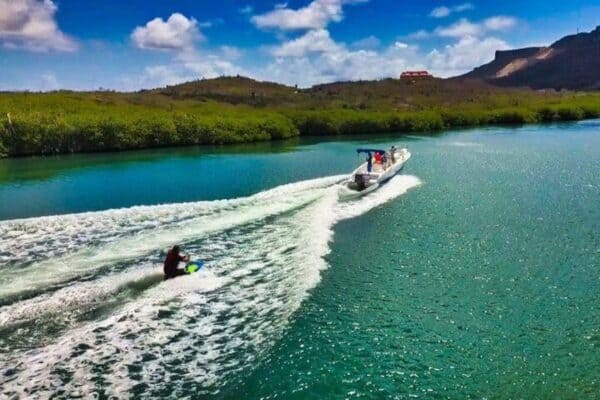 Wake & Knee Board