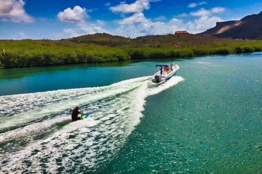 Wake & Knee Board