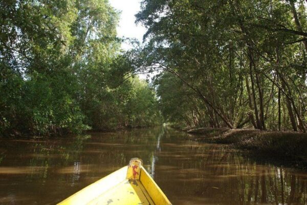 2-Day Nickerie Tour with Boat Trip in Bigipan (Suriname) - Image 5