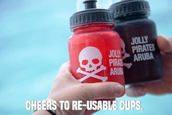 Jolly Pirate Middagzeil met Snorkelen (Aruba) - Afbeelding 2