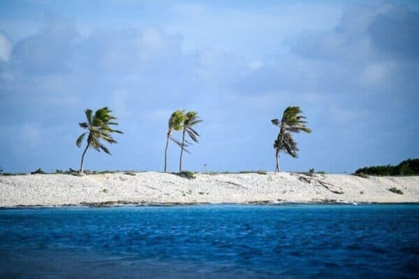 Visita guiada individual de 2 horas en la Isla Sur para solteros y parejas (Bonaire) - Imagen 4