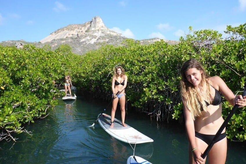 Gegeleide SUP-mangrove ECO tour voor beginners (Curaçao)