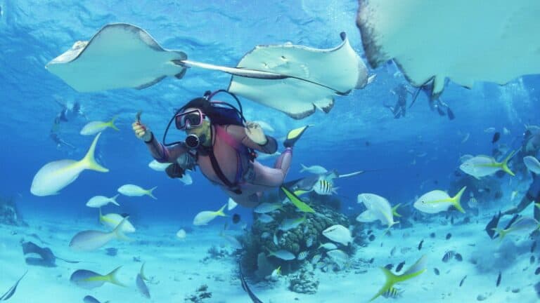 Tour de buceo en el Caribe (Aruba)