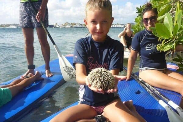 Guided SUP-mangrove ECO tour for beginners (Curaçao) - Image 4