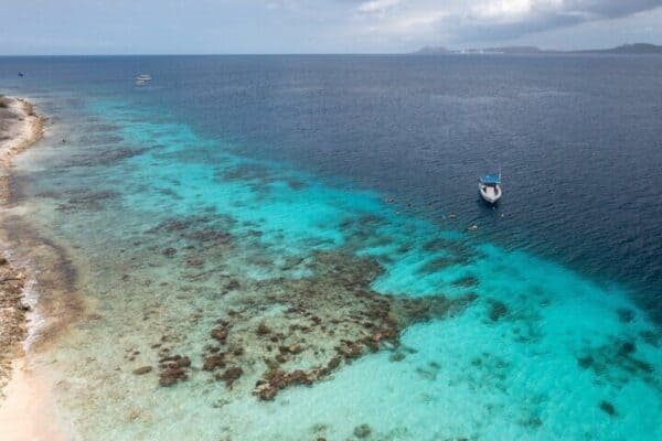 Private Snorkeling Tour with Captain and Guide in the Marine Park (Bonaire) - Image 3