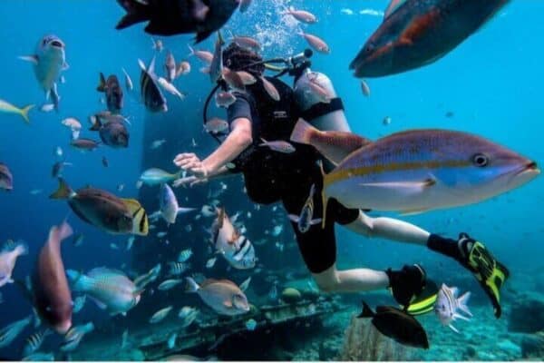 Explore Scuba Diving in Curaçao with Transportation Included (Curaçao)