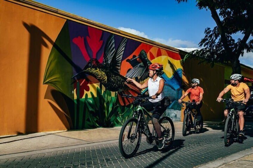 Semi-Private Fietstocht naar Cultureel Erfgoed van San Nicolas (Aruba)