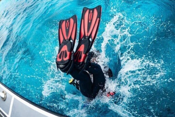 Bonaire Marine Park: Private Boat Diving Experience (Bonaire) - Image 4