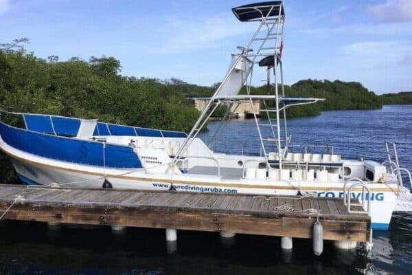 2-Tank begeleide Duik voor gecertificeerde duikers met eigen uitrusting (Aruba) - Afbeelding 2