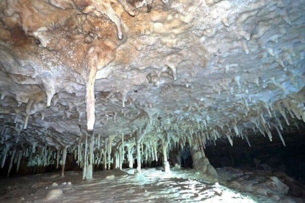 Snorkel y descubre tesoros escondidos (Bonaire)