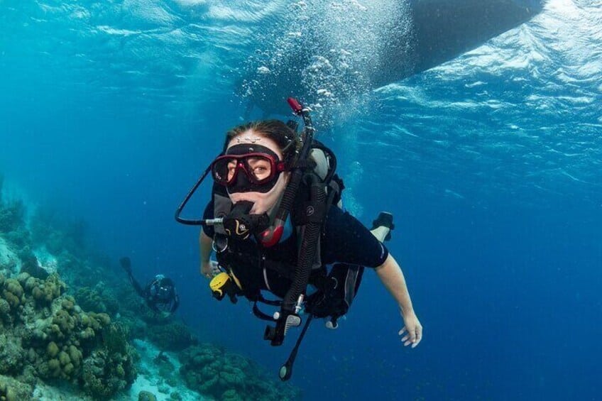 Bonaire Marine Park: Privé Boot Duikervaring (Bonaire)