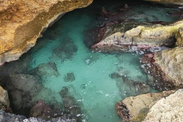 Aventura definitiva de la costa norte (Aruba) - Imagen 2