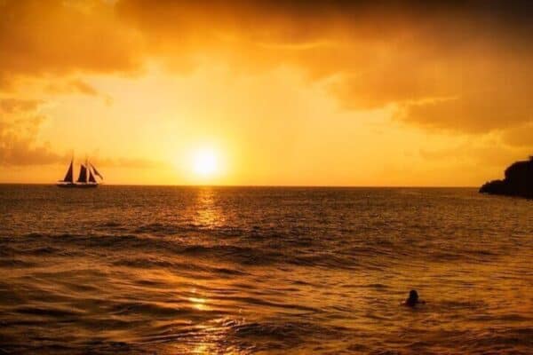 Crucero privado con cena en góndola tropical (St Maarten) - Imagen 3