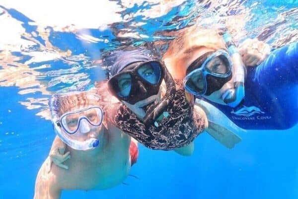 Double Snorkeling Tour (Bonaire) - Image 2