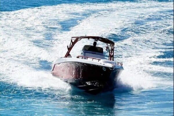 Ontdekkingstocht met Speedboot (Sint Maarten) - Afbeelding 5
