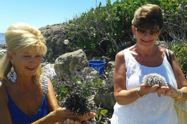 Tour privado personalizable por la isla en St. Maarten (St. Maarten) - Imagen 2