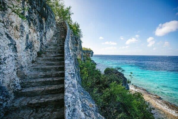 Individuele Eilandtour voor 1 tot 12 Personen in 4 Uur (Bonaire)