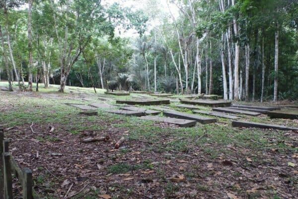 2-Daagse Jodensavanne en Overbrugging vanuit Paramaribo (Suriname)