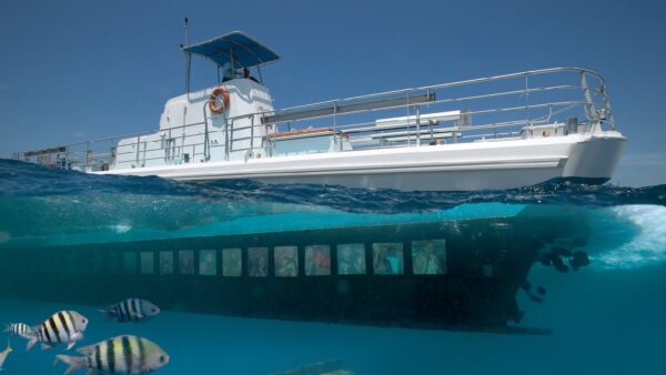 Seaworld Explorer - Semi-onderzeeboot Tour (Aruba) - Afbeelding 2