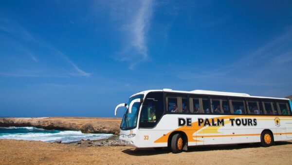 Lo mejor del autobús con esnórquel y almuerzo (Aruba) - Imagen 2