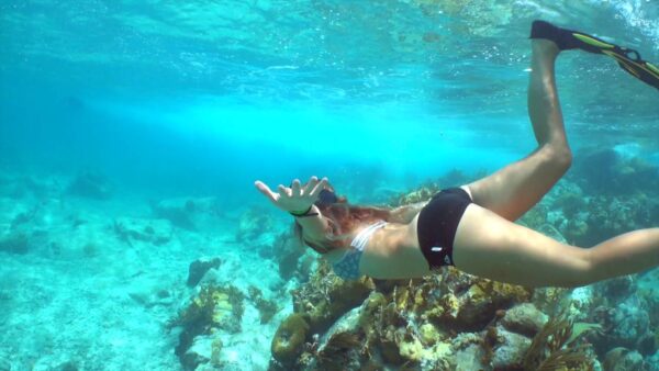 Halve Dag Snorkelavontuur (Sint Maarten) - Afbeelding 2