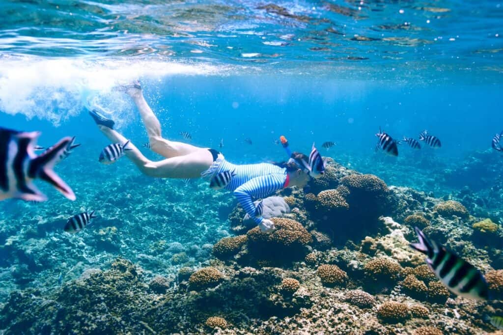 Snorkel Bonaire