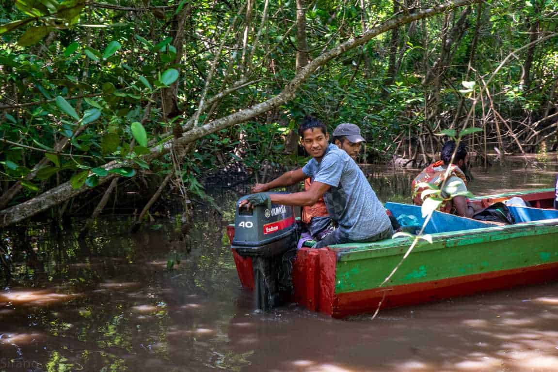 Boat Tour Bakkie & Museum Alliance – Historical Culture Tour on the Commewijne (Suriname) - Image 3