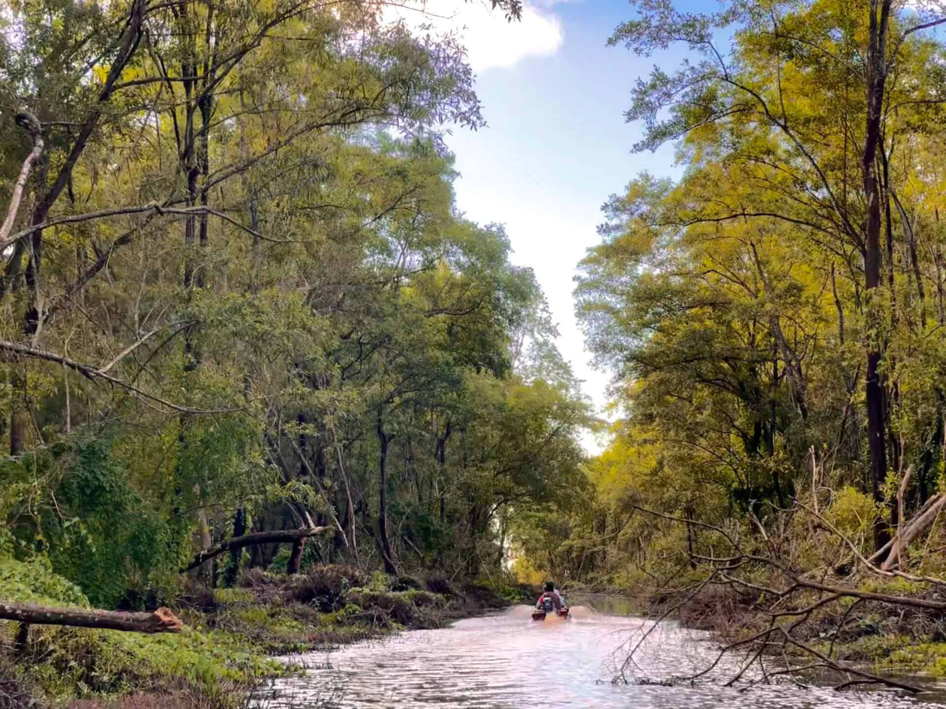Wetland Swamptour – Mangrove & Matapica Beach (Long Route) (Suriname) - Image 2