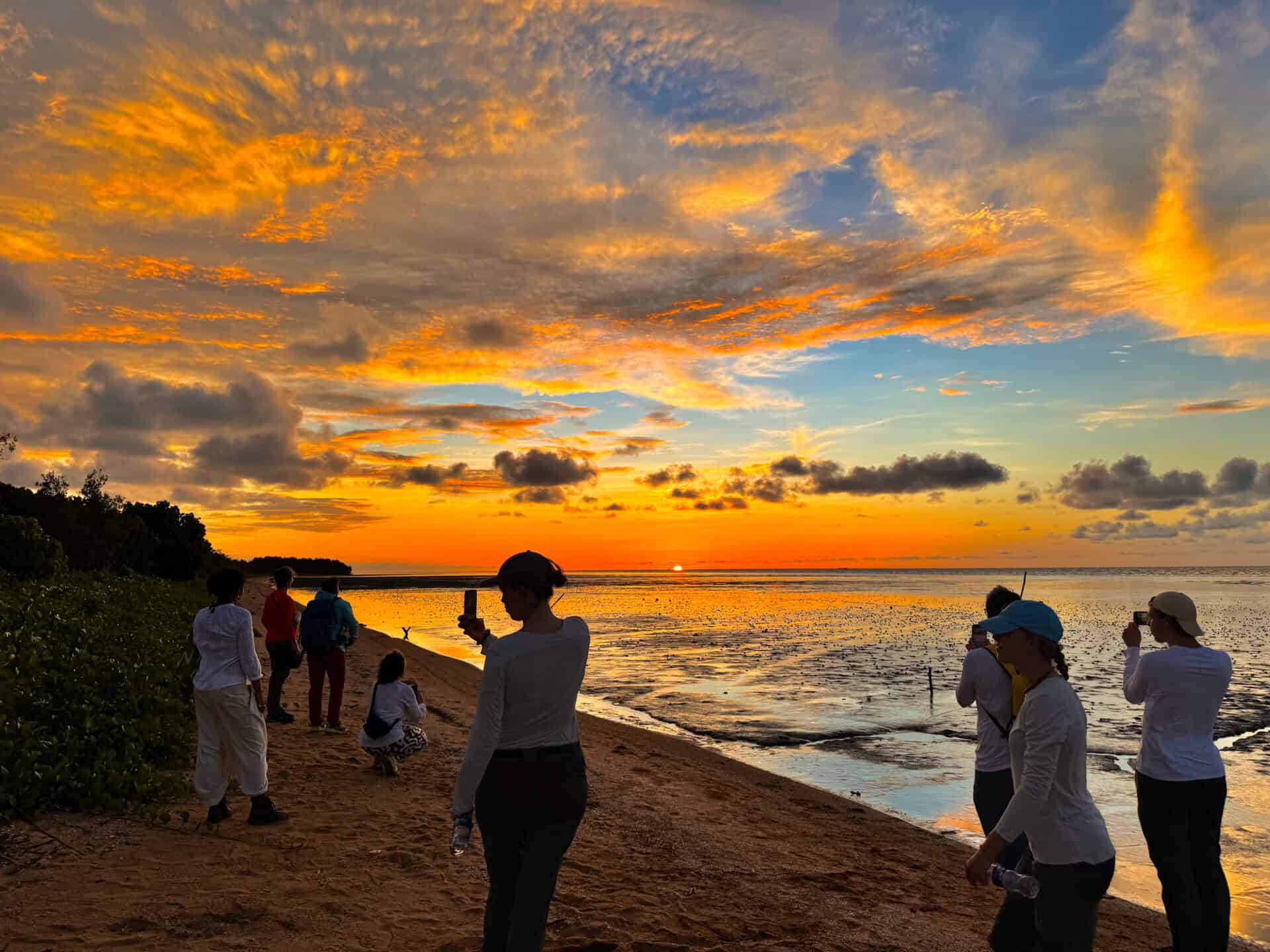 Wetland Swamptour – Mangrove & Matapica Beach (Long Route) (Suriname) - Image 6